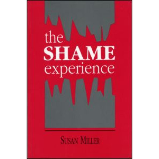 The Shame Experience
