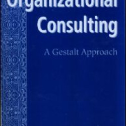 Organizational Consulting Organizational Consulting