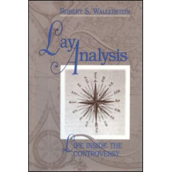 Lay Analysis Lay Analysis