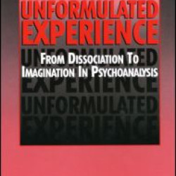 Unformulated Experience Unformulated Experience