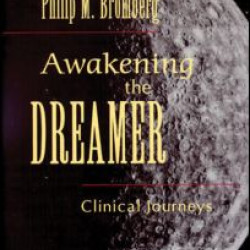 Awakening the Dreamer