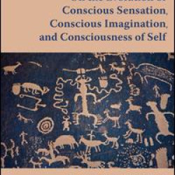 On the Evolution of Conscious Sensation, Conscious Imagination, and Consciousness of Self On the Evolution of Conscious Sensation, Conscious Imagination, and Consciousness of Self