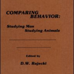 Comparing Behavior Comparing Behavior