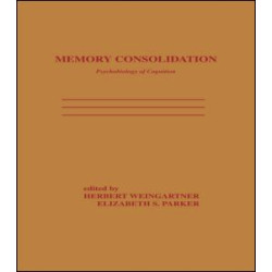 Memory Consolidation Memory Consolidation