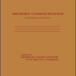 Memory Consolidation Memory Consolidation
