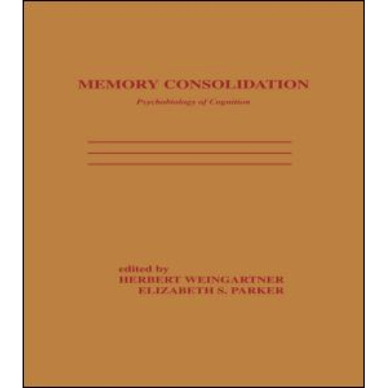 Memory Consolidation