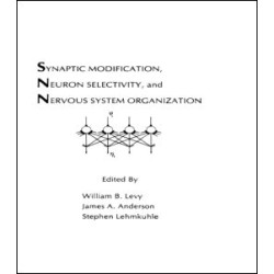 Synaptic Modification, Neuron Selectivity, and Nervous System Organization