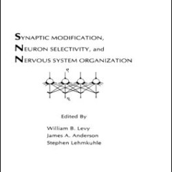 Synaptic Modification, Neuron Selectivity, and Nervous System Organization Synaptic Modification, Neuron Selectivity, and Nervous System Organization