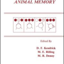 Theories of Animal Memory