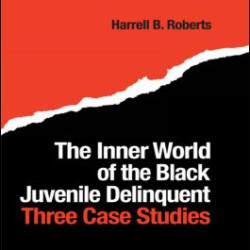 The Inner World of the Black Juvenile Delinquent The Inner World of the Black Juvenile Delinquent
