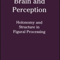 Brain and Perception Brain and Perception
