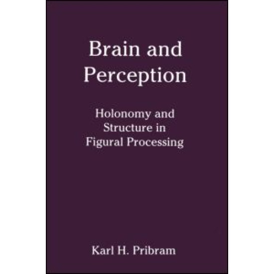 Brain and Perception