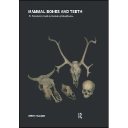 Mammal Bones and Teeth Mammal Bones and Teeth