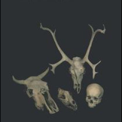 Mammal Bones and Teeth