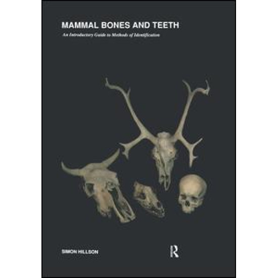 Mammal Bones and Teeth