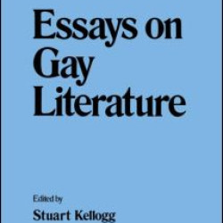 Essays on Gay Literature