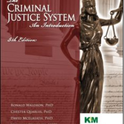 The Criminal Justice System