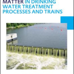 Characterizing Natural Organic Matter in Drinking Water Treatment Processes and Trains