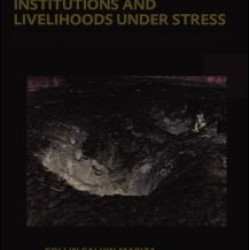 Integrated Water Resources Management, Institutions and Livelihoods under Stress
