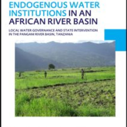 Emergence and Evolution of Endogenous Water Institutions in an African River Basin