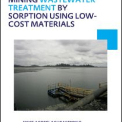 Sustainable Gold Mining Wastewater Treatment by Sorption Using Low-Cost Materials