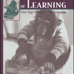 The Structure of Learning