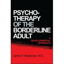 Psychotherapy Of The Borderline Adult Psychotherapy Of The Borderline Adult