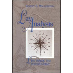 Lay Analysis Lay Analysis