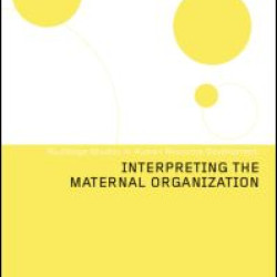 Interpreting the Maternal Organization