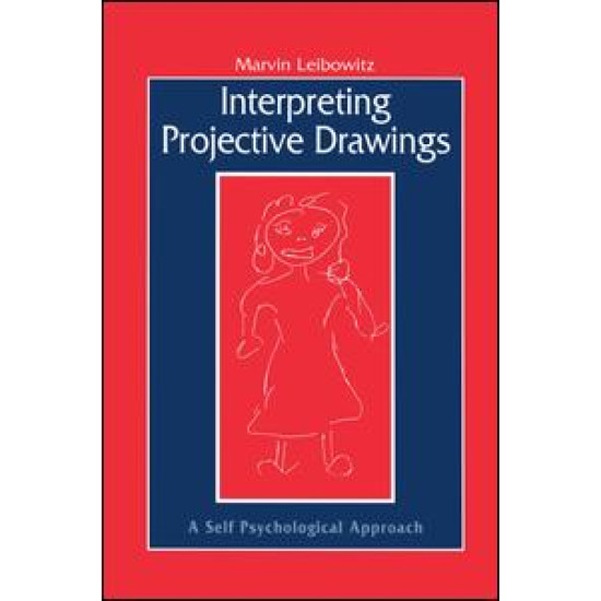 Interpreting Projective Drawings