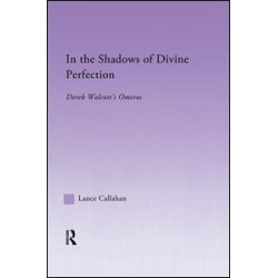 In the Shadows of Divine Perfection