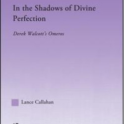 In the Shadows of Divine Perfection
