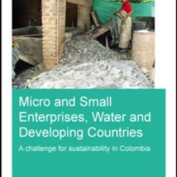 Micro and Small Enterprises, Water and Developing Countries Micro and Small Enterprises, Water and Developing Countries
