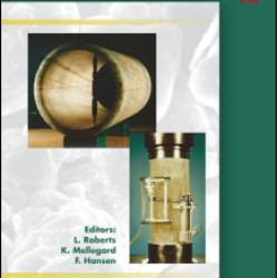 Mechanical Behaviour of Salt VIII Mechanical Behaviour of Salt VIII