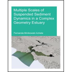 Multiple Scales of Suspended Sediment Dynamics in a Complex Geometry Estuary Multiple Scales of Suspended Sediment Dynamics in a Complex Geometry Estuary