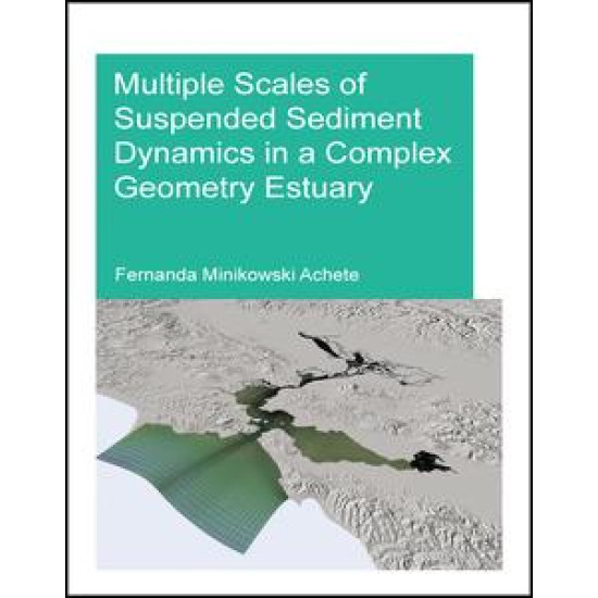 Multiple Scales of Suspended Sediment Dynamics in a Complex Geometry Estuary