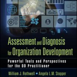 Assessment and Diagnosis for Organization Development