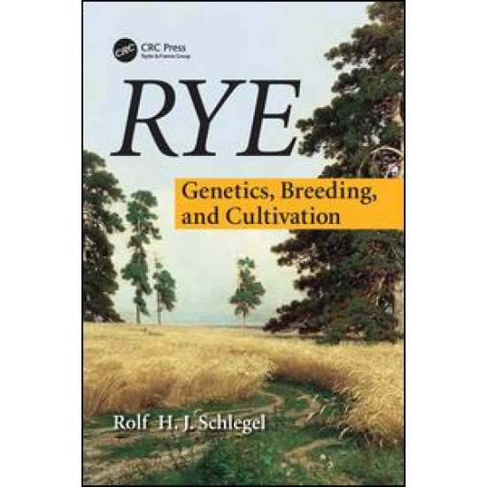 Rye Rye