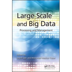Large Scale and Big Data