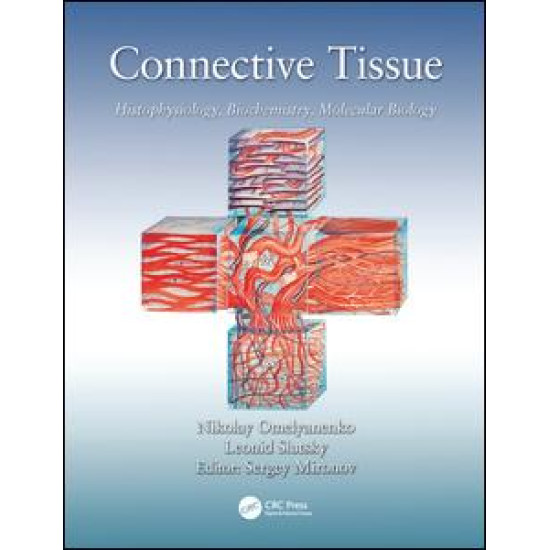 Connective Tissue Connective Tissue