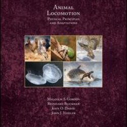 Animal Locomotion Animal Locomotion