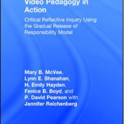 Video Pedagogy in Action