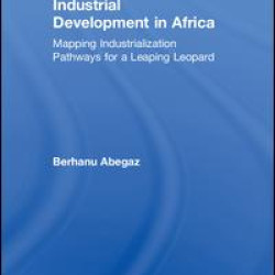 Industrial Development in Africa Industrial Development in Africa
