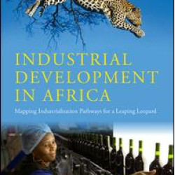 Industrial Development in Africa Industrial Development in Africa
