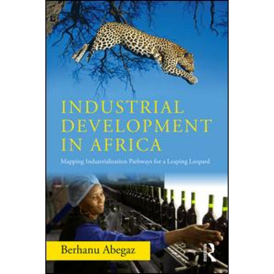 Industrial Development in Africa Industrial Development in Africa