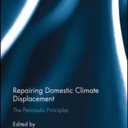 Repairing Domestic Climate Displacement Repairing Domestic Climate Displacement