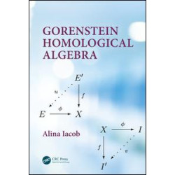 Gorenstein Homological Algebra Gorenstein Homological Algebra
