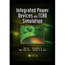 Integrated Power Devices and TCAD Simulation