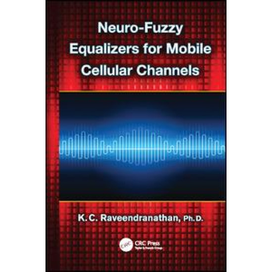 Neuro-Fuzzy Equalizers for Mobile Cellular Channels Neuro-Fuzzy Equalizers for Mobile Cellular Channels