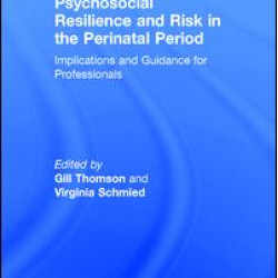 Psychosocial Resilience and Risk in the Perinatal Period